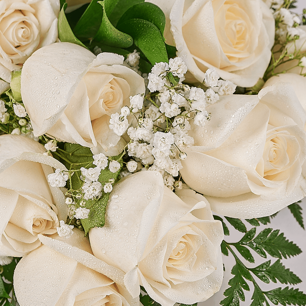 Enduring White Rose Bouquet & Box, floral gifts, rose gifts, gifts, roses, Toronto delivery