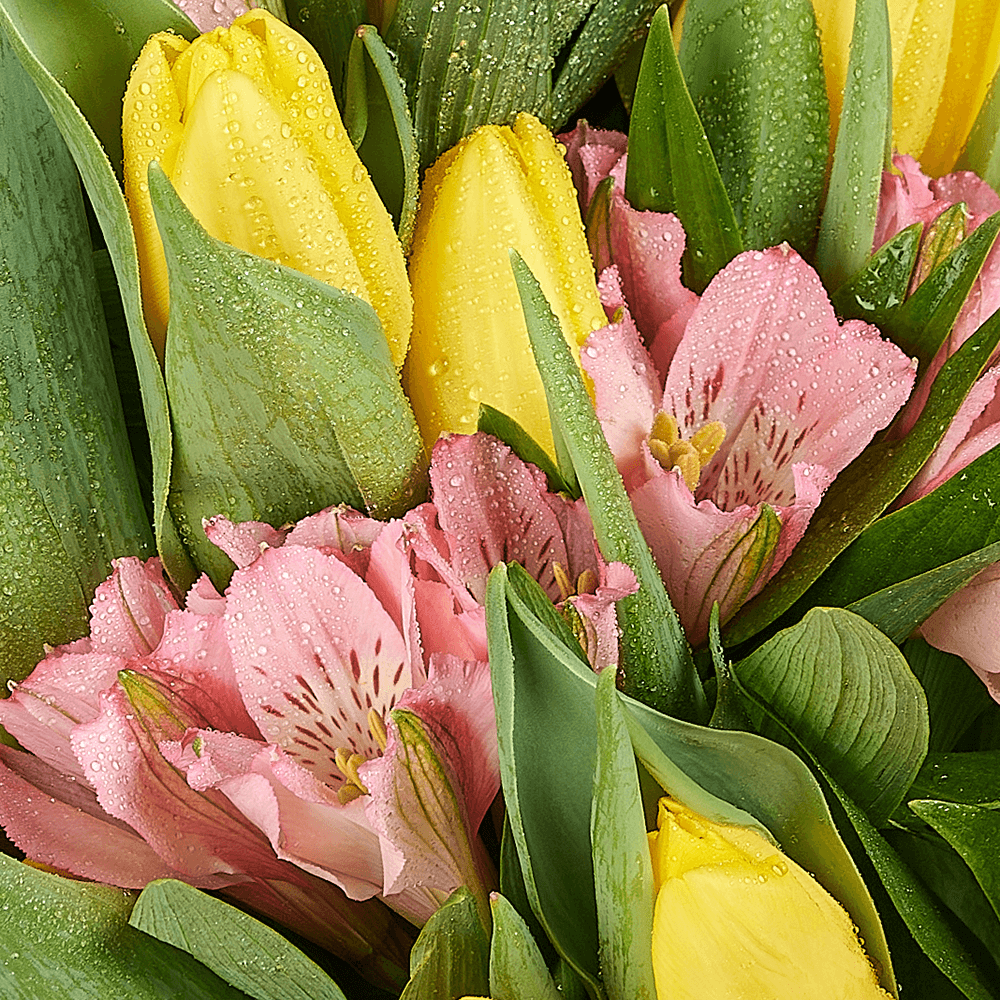 Spring Radiance Mixed Bouquet, tulip gift, tulips, flower gift, flower, seasonal flower gift, seasonal flower, Toronto delivery