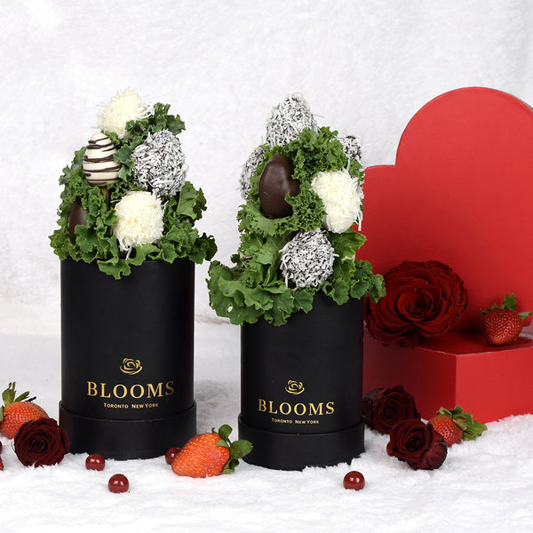 Gourmet Gifts Valentine's Day 10 Chocolate Dipped Strawberries