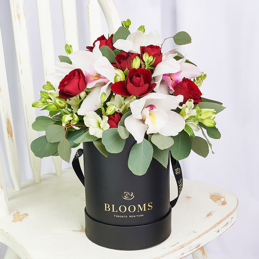 Graceful Orchid & Alstroemeria Box – Orchid Gifts– Toronto delivery