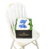 Welcome Baby Boy Flower Box - Baby Shower Floral Hat Box - Same Day Toronto Delivery