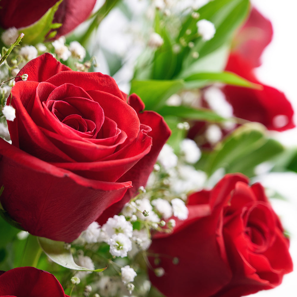 Red rose basket arrangement. Same Day Toronto Delivery
