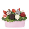 Pink Toolbox Chocolate Dipped Strawberries - Toronto Gift basket - Same Day Toronto Delivery