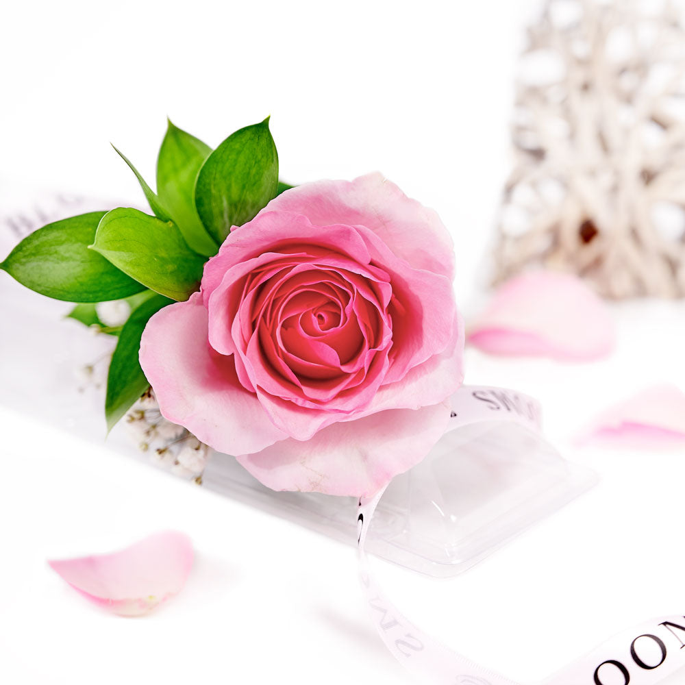 Mother's Day Single Pink Rose - Mother's Day Gifts - Toronto Delivery