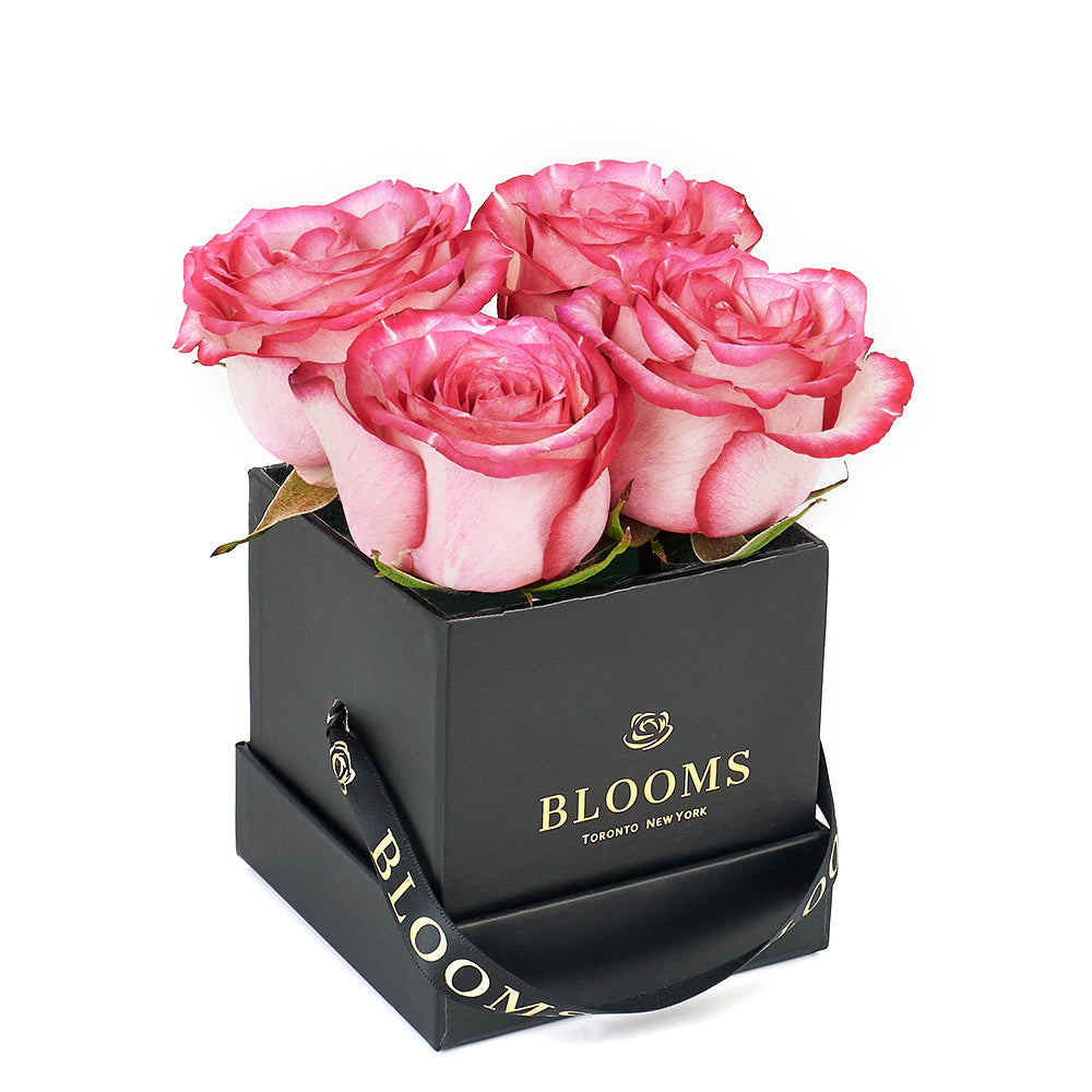 Mother’s Day Demure Pink Rose Gift - Roses Hat Box - Same Day Toronto Delivery