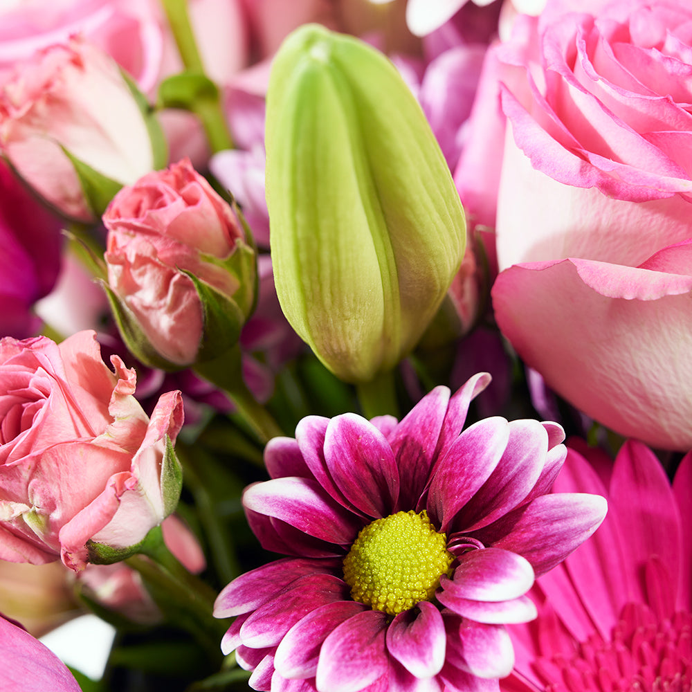 Mother’s Day Select Floral Gift Box - Mother's Day Floral Gift Box - Same Day Toronto Delivery