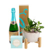 Reasons to Celebrate Plant & Champagne Gift - Wine Gift Set - Same Day Toronto Delivery