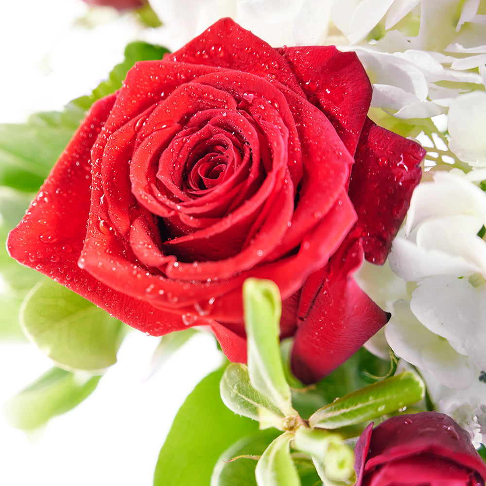 Rose and Hydrangea Vase with Wine - Wine Gift Set - Same Day Toronto Delivery