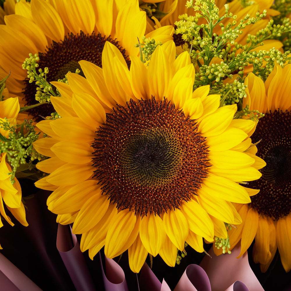 Summer Glory Sunflower Bouquet - Toronto Blooms - Canada flower delivery