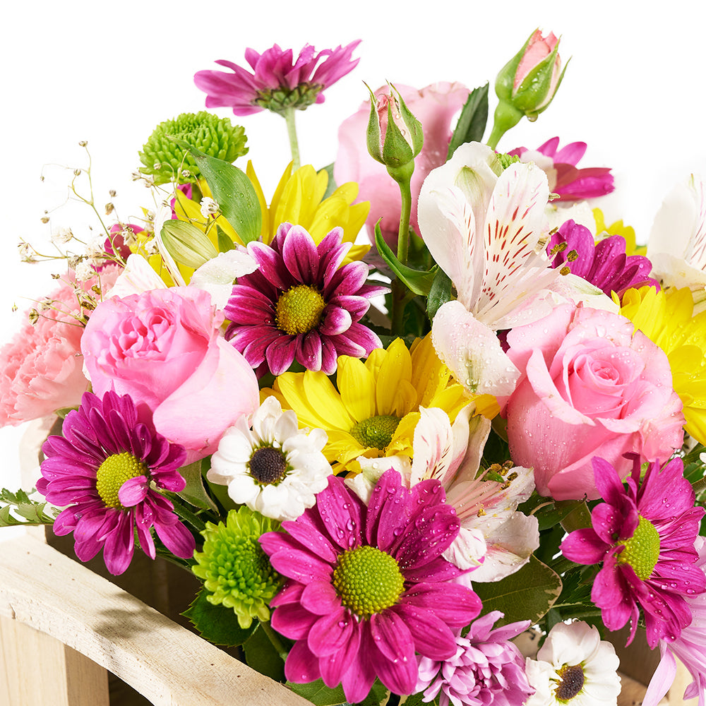 Slice of Nature Garden Chair - Mixed Flower and Chair Gift Set - Same Day Toronto Delivery