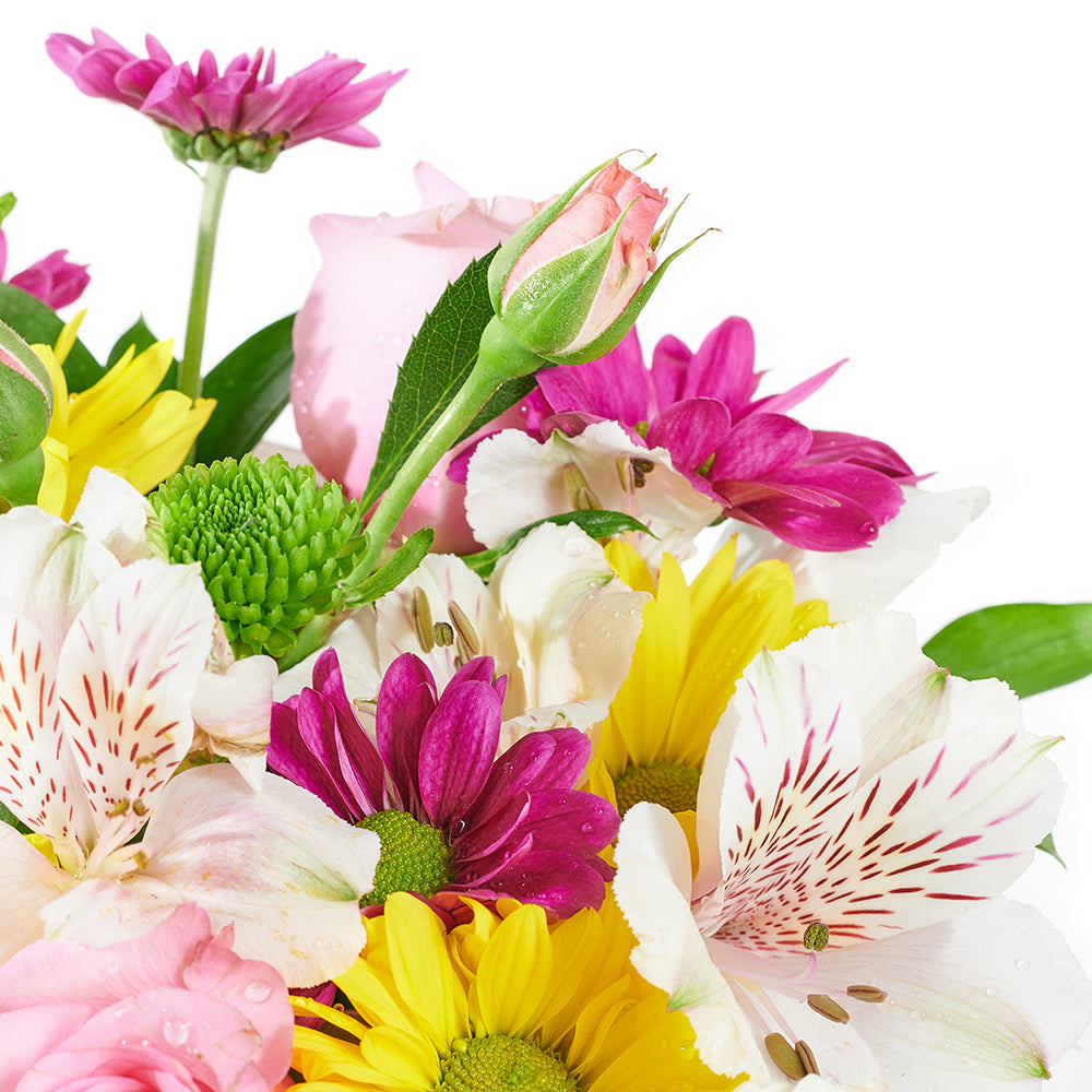 Slice of Nature Garden Chair - Mixed Flower and Chair Gift Set - Same Day Toronto Delivery