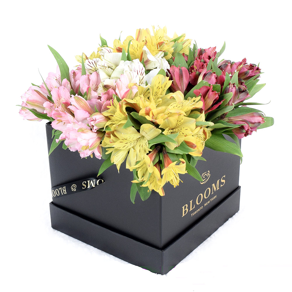 Toronto Same Day Flower Delivery - Toronto Flower Gifts - Lily Bouquet
