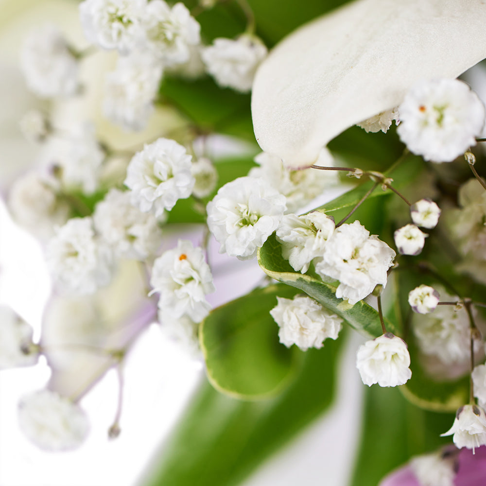 Spring Rose & Lily Arrangement – Floral Gifts – Toronto delivery