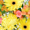 Sunrise mixed floral hat box arrangement. Same Day Toronto Delivery
