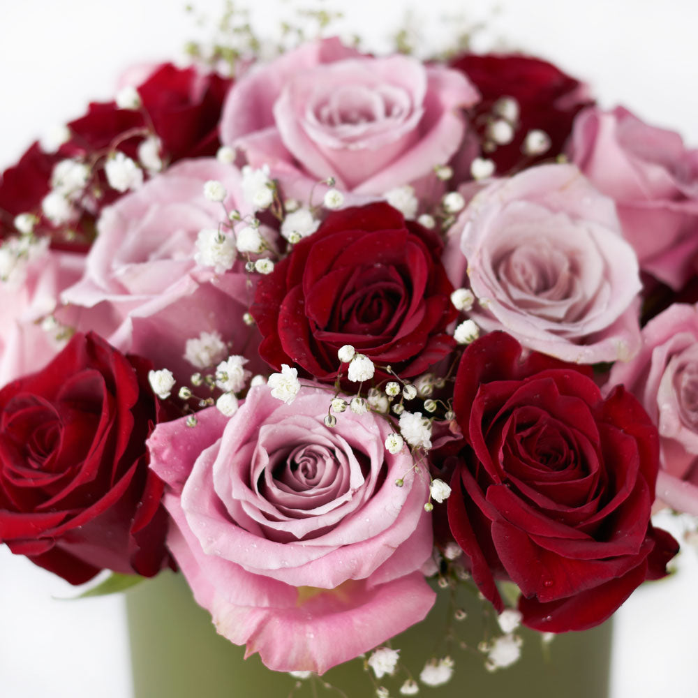 Elegant Rose Duo Arrangment - Mixed Roses - Mother's Day Gift - Same Day Toronto Delivery