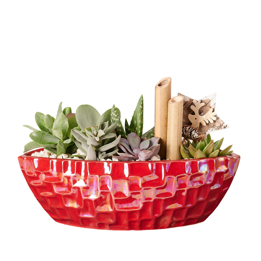 christmas, Mixed Floral Arrangement, Floral Arrangement, Floral Gift, holiday, Set 23990-2021, floral holiday delivery, delivery holiday floral, christmas flowers canada, canada christmas flowers, toronto