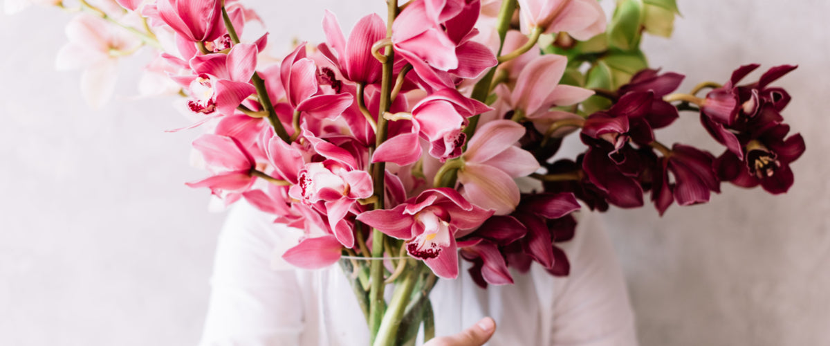 Orchids &amp; Exotics