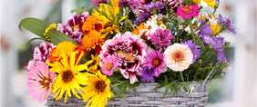 Same day flower delivery Toronto – Toronto flowers gifts - Nurse's Week Flower Gifts
