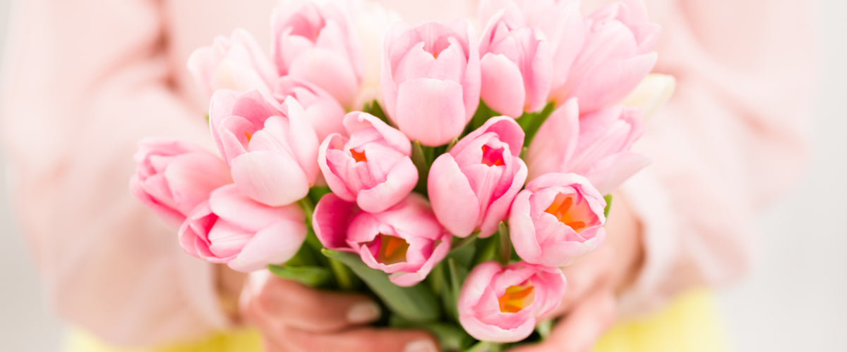 Tulips Toronto