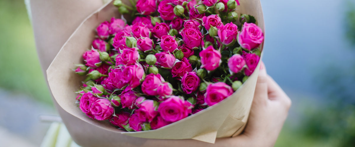 Roses