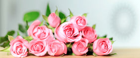 Same day flower delivery Toronto – Toronto flowers gifts -Flower Gifts 