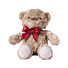 Canada Day Bear, Canada Day Teddy, canada day gift, canada day, plush bear gift, plush bear, teddy bear gift, teddy bear