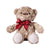 Canada Day Bear