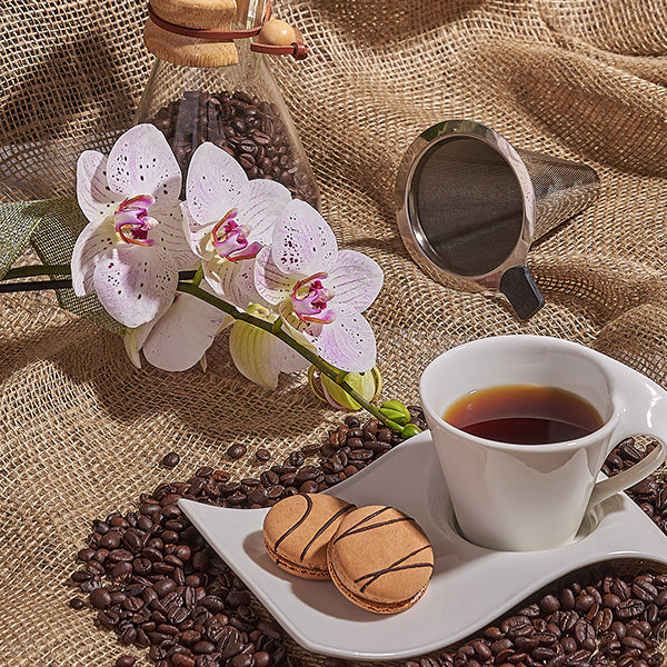 Just because flowers Toronto