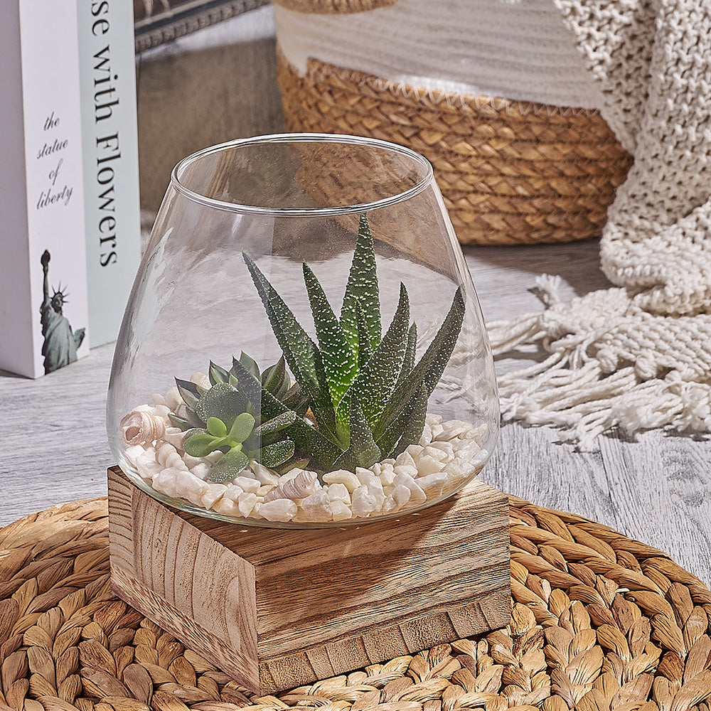 Indoor plants delivered in Toronto and the GTA