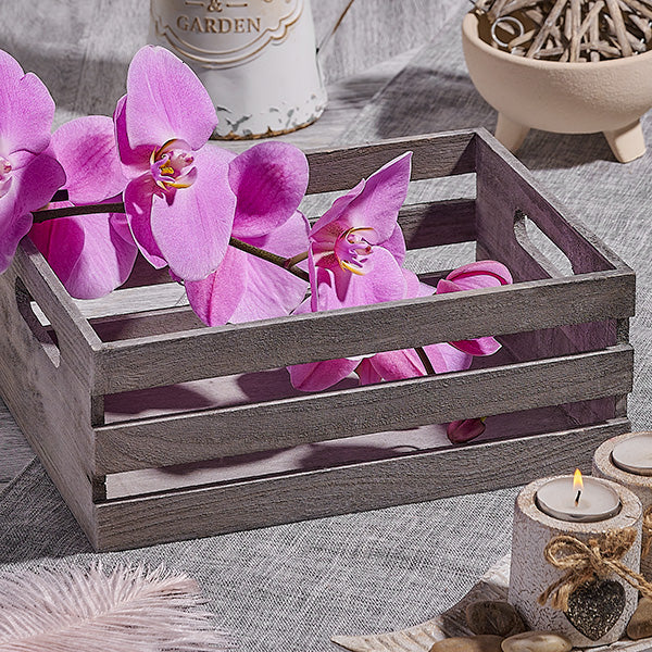 orchids on a wooden box