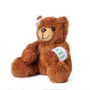 Get Well Soon Teddy, plush bear gift, plush bear, teddy bear gift, teddy bear