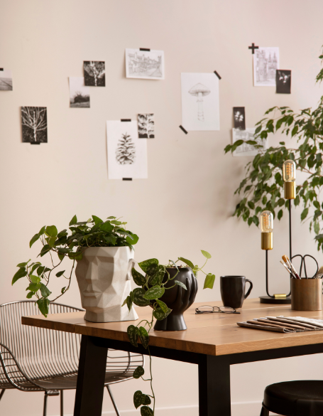 Same day flower delivery Toronto – Toronto flowers gifts