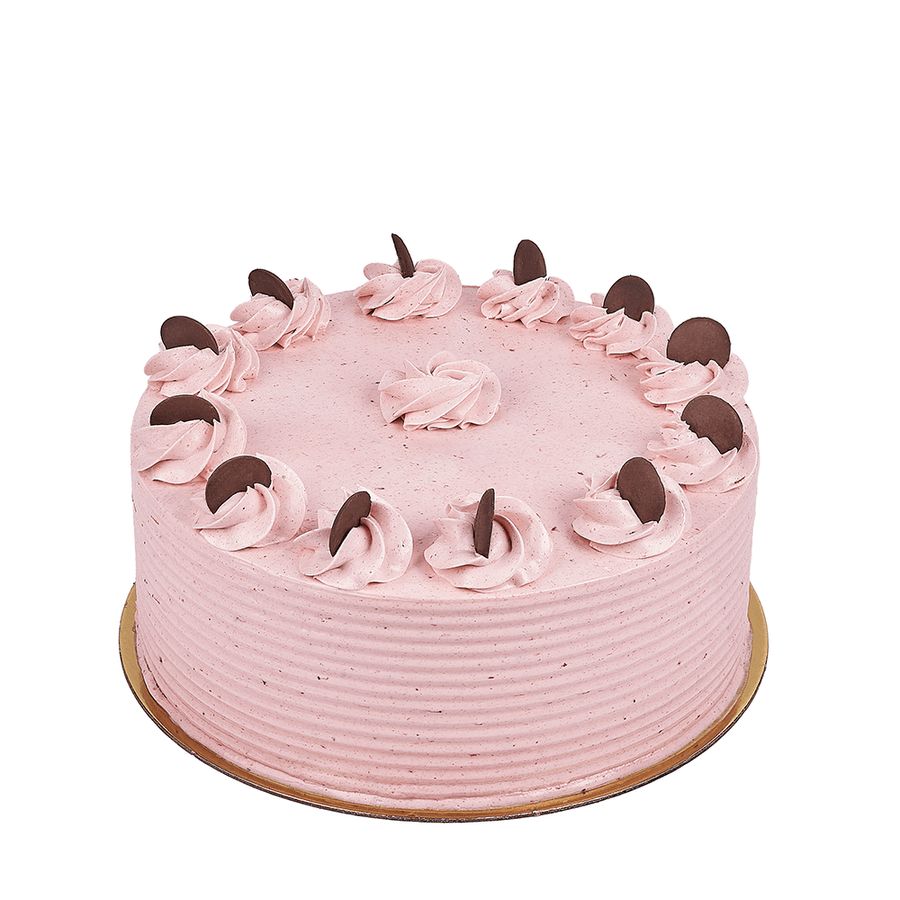 Large Chocolate Strawberry Cake