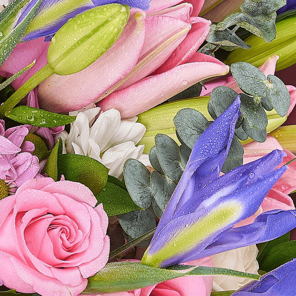 Toronto Same Day Flower Delivery - Toronto Flower Gifts - Iris Bouquet