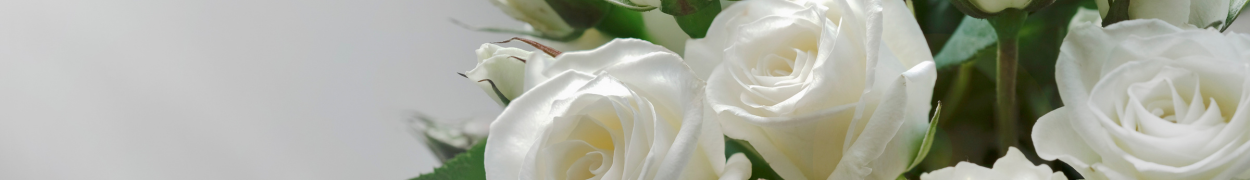 Same day flower delivery Toronto – Toronto flowers gifts