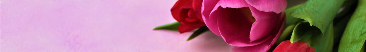 Same day flower delivery Toronto – Toronto flowers gifts