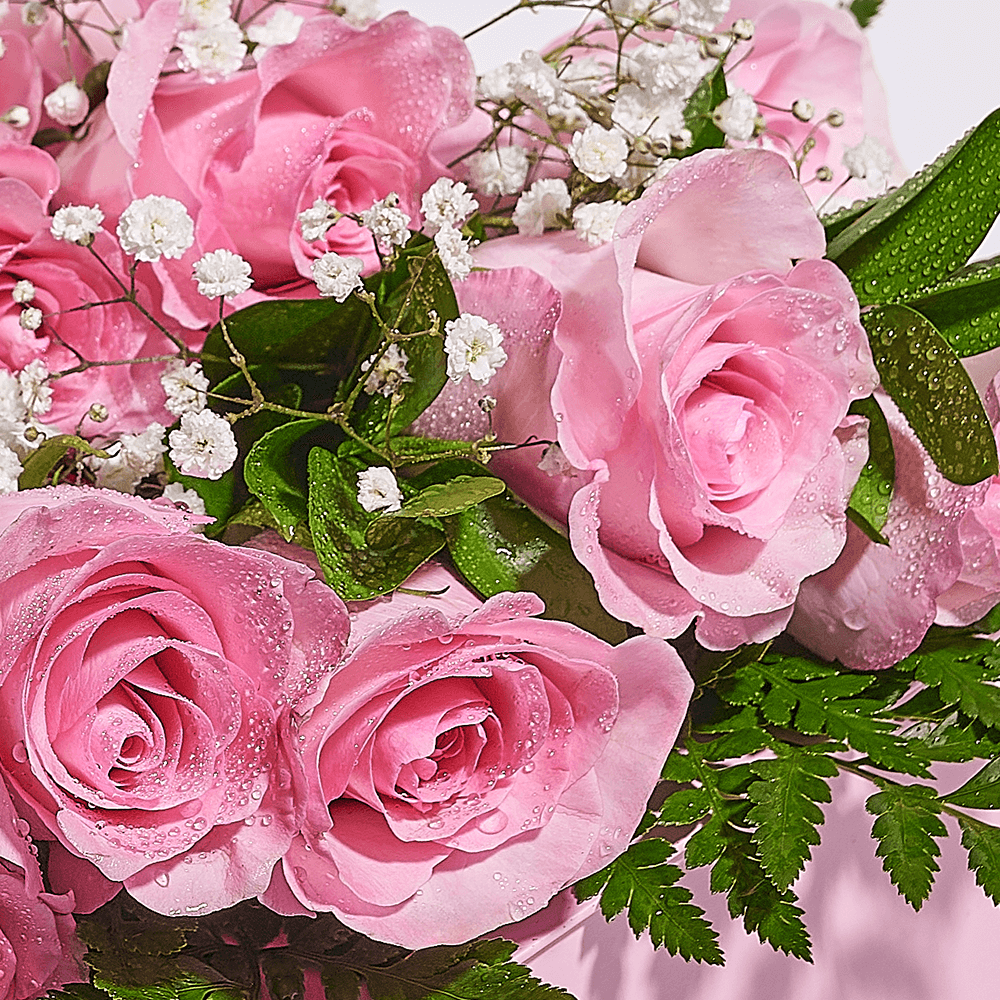 Mother’s Day 12 Stem Pink Rose Bouquet with Box, rose gift, rose, mothers day gift, mothers day, Toronto delivery