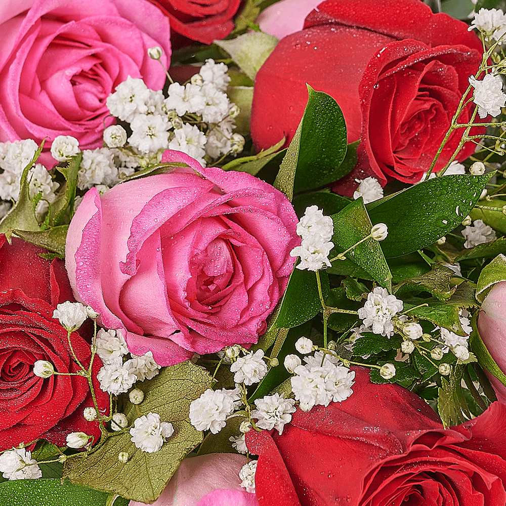 Mother’s Day 12 Stem Red & Pink Bouquet, rose gift, rose, mothers day gift, mothers day, Toronto delivery