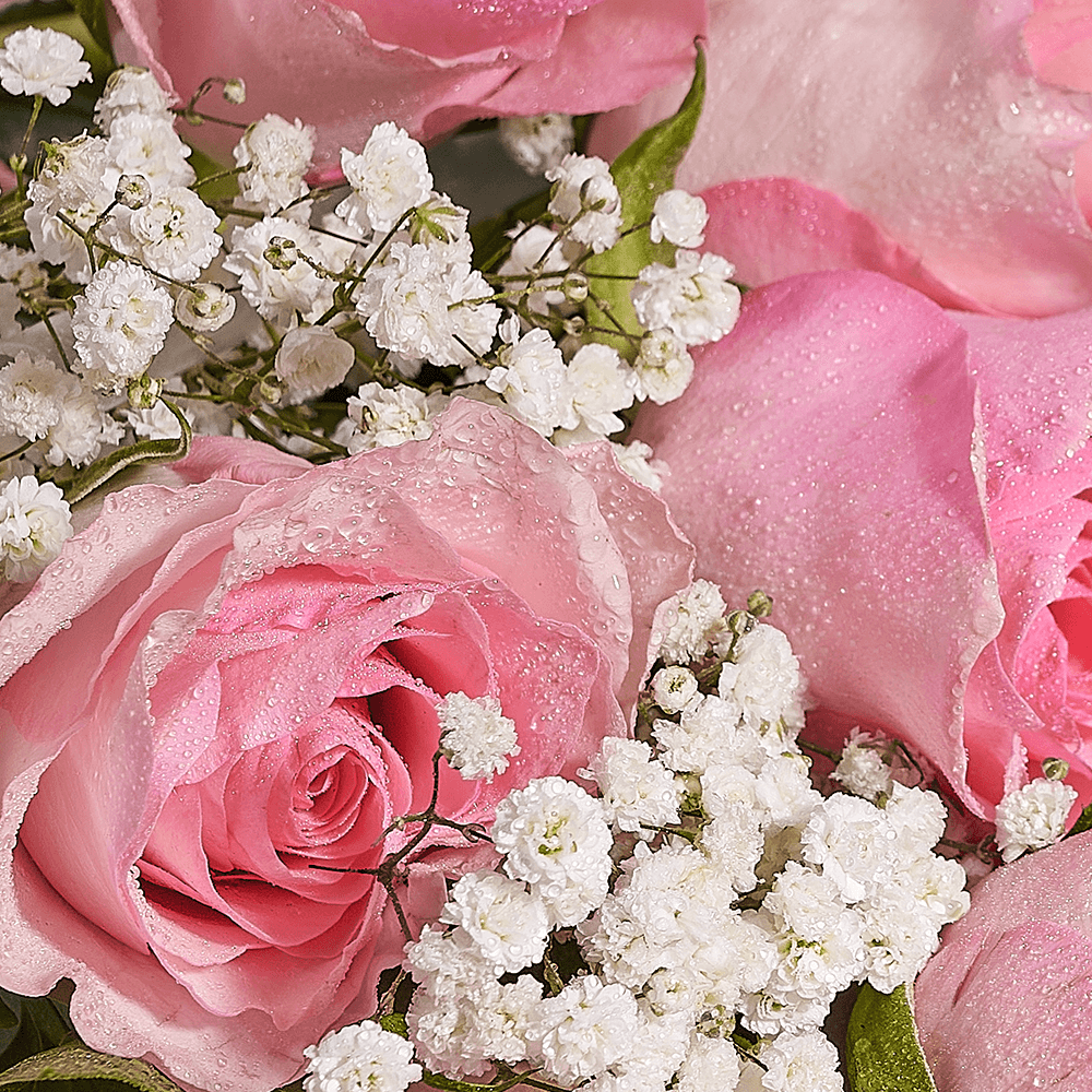 Mother’s Day Ultimate Pink Rose Gift Set – Mother’s Day Gifts – Toronto delivery, champagne gift, champagne, sparkling wine gift, sparkling wine