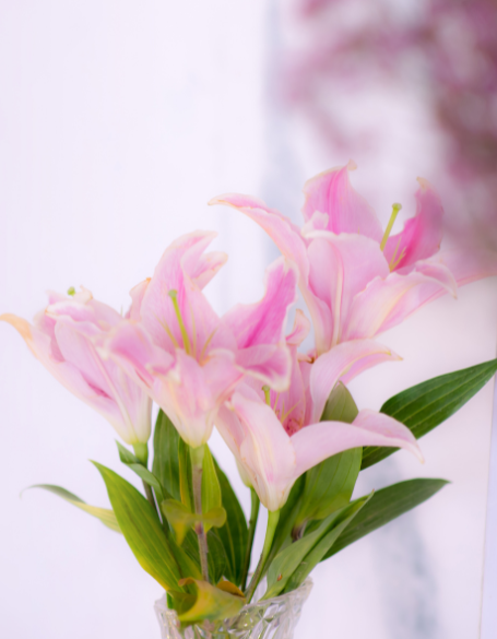 Same day flower delivery Toronto – Toronto flowers gifts