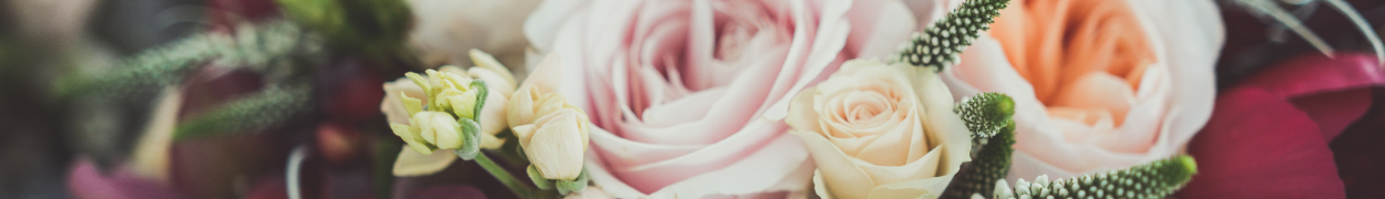 Same day flower delivery Toronto – Toronto flowers gifts