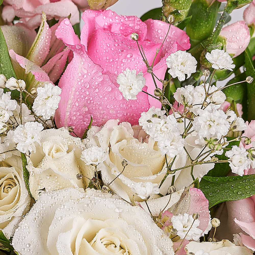 Pastel Dreams 12 Stems Mixed Roses - Mother's Day - Rose Bouquet Gift - Same Day Toronto Delivery