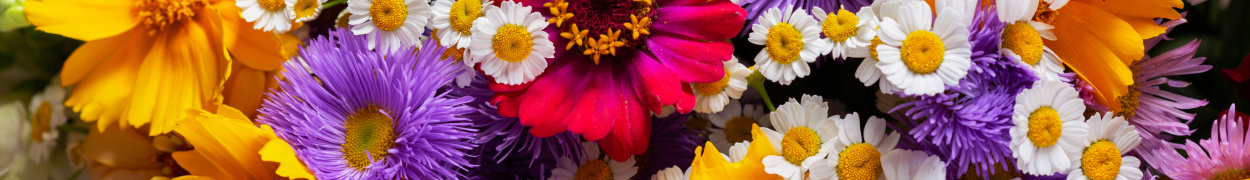 Same day flower delivery Toronto – Toronto flowers gifts