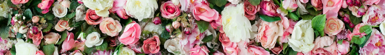 Rose Gifts | Rose Bouquets - Toronto Blooms