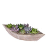 Serenity Plant Garden, plant gift, plant, succulent gift, succulent, Toronto delivery