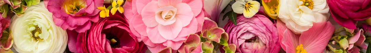 Same day flower delivery Toronto – Toronto flowers gifts