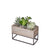 Succulent Garden Planter Box