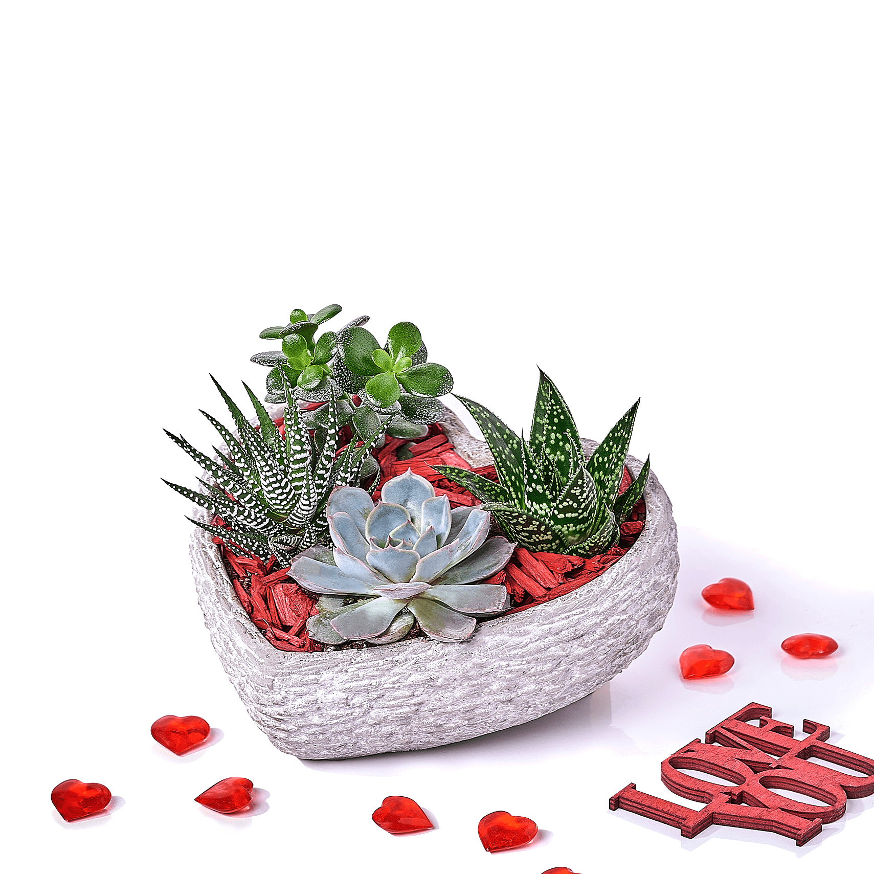 Succulent Heart Planter, plant gift, plant, romantic gift, romantic, succulent gift, succulent, Toronto delivery