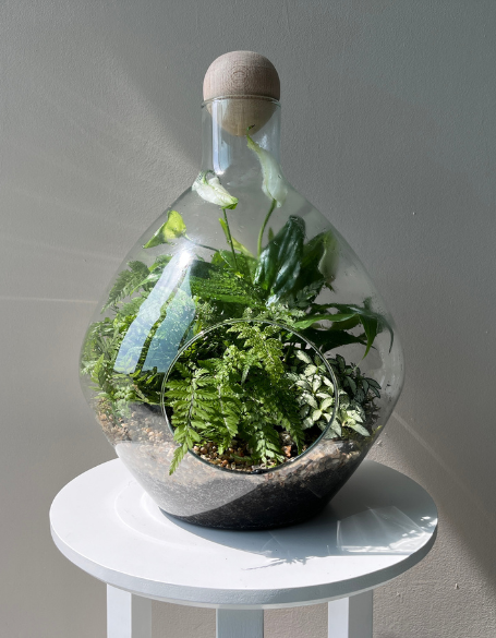 Same day flower delivery Toronto – Toronto flowers gifts