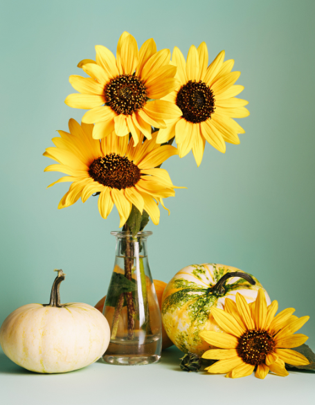 Same day flower delivery Toronto – Toronto flowers gifts